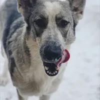 processed/fc6dd872-aae2-4716-aefe-b577aabfeef1/facility/d4da13f8-904c-4a5f-978c-f788cc3b7b75