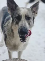 processed/fc6dd872-aae2-4716-aefe-b577aabfeef1/facility/d4da13f8-904c-4a5f-978c-f788cc3b7b75