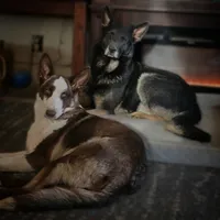 processed/fc6dd872-aae2-4716-aefe-b577aabfeef1/facility/d7d90968-d647-4892-849e-1a52371acf9c