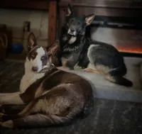 processed/fc6dd872-aae2-4716-aefe-b577aabfeef1/facility/d7d90968-d647-4892-849e-1a52371acf9c