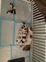 processed/fc6fbf69-84e8-4c63-bad8-cb808e216e39/facility/26f6d4c6-123e-4d36-994a-a8e55f88318c