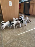 processed/fc6fbf69-84e8-4c63-bad8-cb808e216e39/facility/2ba58d46-c5c4-4e6f-abbe-70a57a84af70