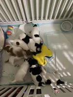 processed/fc6fbf69-84e8-4c63-bad8-cb808e216e39/facility/39f69a36-2c2a-4ae9-bf96-616c37eb99e5