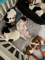 processed/fc6fbf69-84e8-4c63-bad8-cb808e216e39/facility/57dc21f0-0b85-4a7f-b273-b85e95188c7b