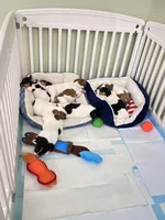 processed/fc6fbf69-84e8-4c63-bad8-cb808e216e39/facility/6f7c6b68-af03-4c8a-90d5-37cf3607826d