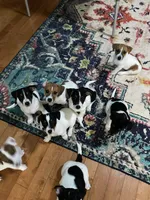 processed/fc6fbf69-84e8-4c63-bad8-cb808e216e39/facility/80595916-1695-4c13-98e5-6aa9e913eec2