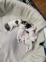 processed/fc6fbf69-84e8-4c63-bad8-cb808e216e39/facility/ac478edc-5946-4891-863b-7d06ac700bd2