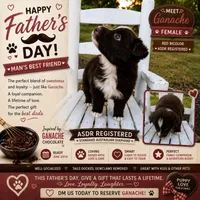 Ganache, a female Australian Shepherd for sale in Decatur, TN – 3 of 6