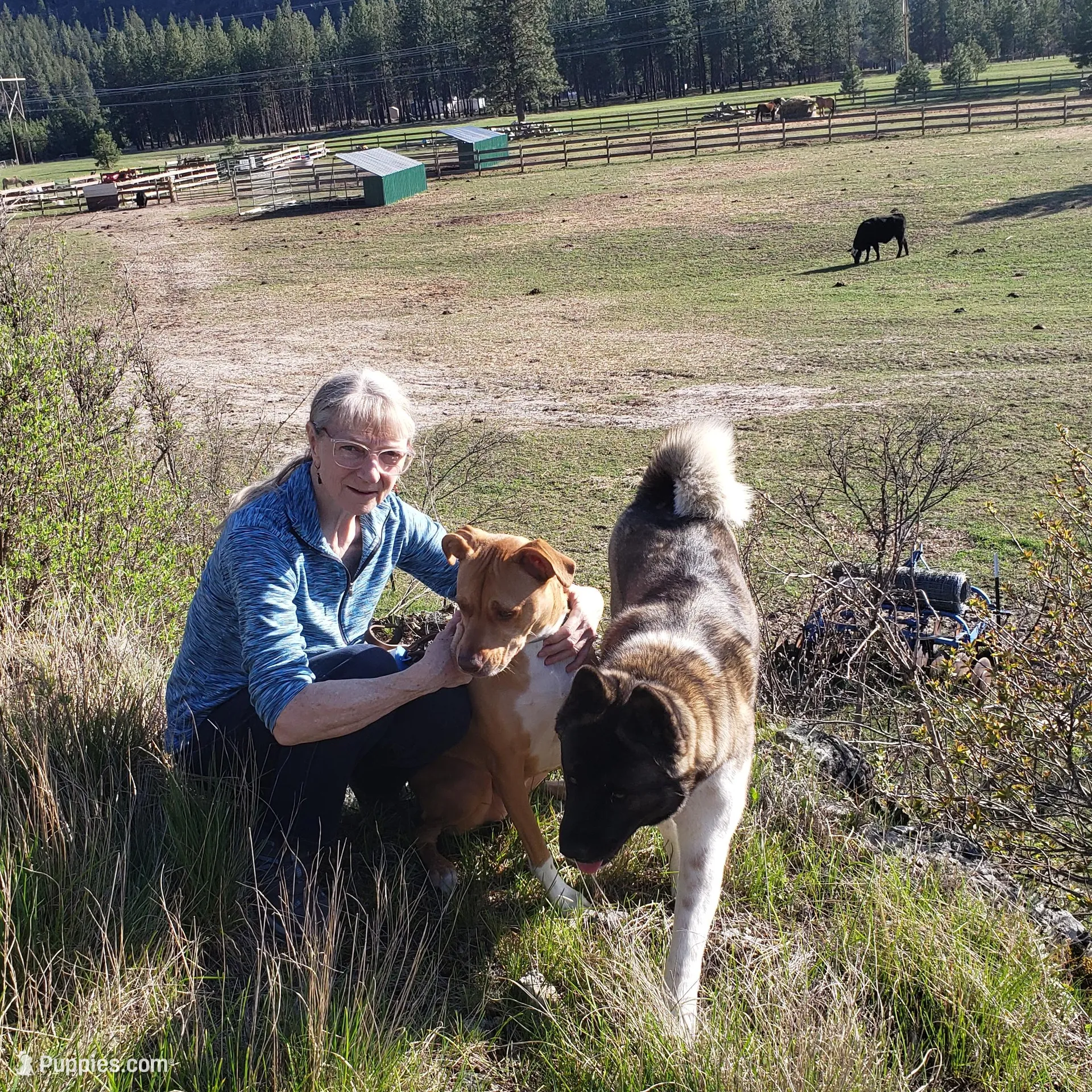 processed/fc767c55-d1e6-4897-b00a-ca7d2e7ade7e/facility/131f2725-6500-486e-a05a-5a46dbde8963