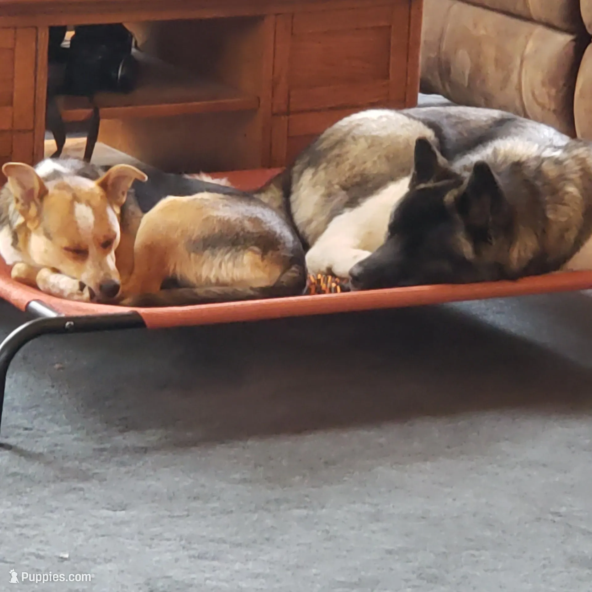 processed/fc767c55-d1e6-4897-b00a-ca7d2e7ade7e/facility/6430d853-7579-4609-981f-35f4569fa7fc