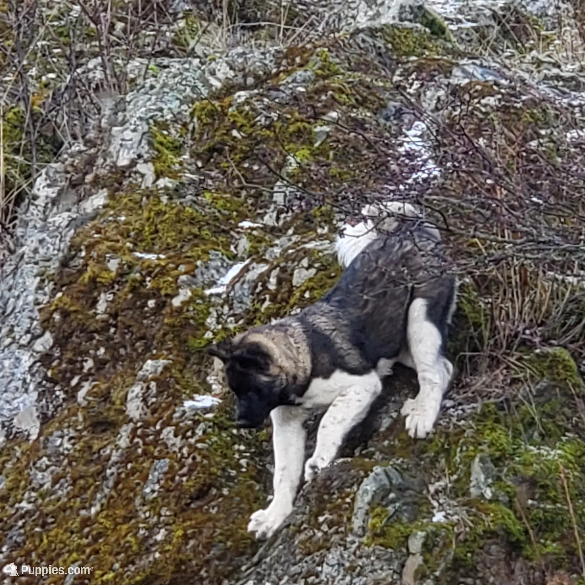 processed/fc767c55-d1e6-4897-b00a-ca7d2e7ade7e/facility/c2cc2077-da45-40fd-b6f8-74f89c9354e4