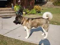 processed/fc767c55-d1e6-4897-b00a-ca7d2e7ade7e/listing/15efbf8a-6364-4d37-9fce-b90c68b542cc/311f9e4a-eab5-4f77-82c0-e7c67eb44efd