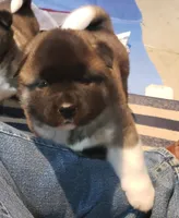 processed/fc767c55-d1e6-4897-b00a-ca7d2e7ade7e/listing/15efbf8a-6364-4d37-9fce-b90c68b542cc/5c9f84c8-b50d-4f9d-a201-8f229a547b98