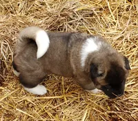 processed/fc767c55-d1e6-4897-b00a-ca7d2e7ade7e/listing/15efbf8a-6364-4d37-9fce-b90c68b542cc/b6b3e8f9-480e-49aa-b43e-d385b0840055