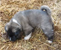 processed/fc767c55-d1e6-4897-b00a-ca7d2e7ade7e/listing/2d94cf52-b428-445d-a0b0-f638415a2753/00148295-b910-4473-8c89-8188641126b5