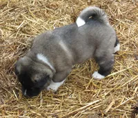 processed/fc767c55-d1e6-4897-b00a-ca7d2e7ade7e/listing/2d94cf52-b428-445d-a0b0-f638415a2753/66d4e894-0d24-4a13-8621-c47078209d78