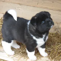 processed/fc767c55-d1e6-4897-b00a-ca7d2e7ade7e/listing/364141cc-3aec-4dbc-8186-5deafedf1003/17c6fb6b-171b-44cb-bf39-91514cd28a7f