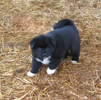 processed/fc767c55-d1e6-4897-b00a-ca7d2e7ade7e/listing/7ddb0dfa-afd0-4362-84f3-7d5365f6c908/809bda0c-3e97-4ebb-9c21-1a368630e368