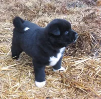 processed/fc767c55-d1e6-4897-b00a-ca7d2e7ade7e/listing/7ddb0dfa-afd0-4362-84f3-7d5365f6c908/f70a0b22-957c-4152-9182-2e2a5cdc8071