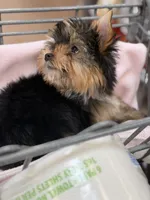 processed/fc7b2b93-e06c-40f4-8e63-598449536d91/listing/7c21f184-24c9-4907-9785-8a1ddd065fe9/2b822548-bff9-44db-b431-20f7bf17b6ff