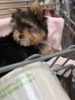 processed/fc7b2b93-e06c-40f4-8e63-598449536d91/listing/7c21f184-24c9-4907-9785-8a1ddd065fe9/5b5a1732-fea7-4e50-9d57-f3c9b1f87ffc