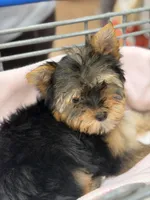 processed/fc7b2b93-e06c-40f4-8e63-598449536d91/listing/7c21f184-24c9-4907-9785-8a1ddd065fe9/a18d150d-4014-4395-8344-d590ad7a25a1