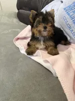 processed/fc7b2b93-e06c-40f4-8e63-598449536d91/listing/7c21f184-24c9-4907-9785-8a1ddd065fe9/e688e4bd-dd65-46f6-945b-3ad1d626a0a9