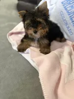 processed/fc7b2b93-e06c-40f4-8e63-598449536d91/listing/7c21f184-24c9-4907-9785-8a1ddd065fe9/f8d41847-8721-46c0-ab2f-8d6fd80c40d0