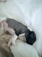 processed/fc7dbbb2-d697-4432-94a4-330ae3bcb60e/listing/217b14b6-9be4-470a-a05f-27ef56821c9c/8f2d3ec2-202e-4e6e-ac26-498e2becaf1f