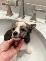 processed/fc7dbbb2-d697-4432-94a4-330ae3bcb60e/listing/217b14b6-9be4-470a-a05f-27ef56821c9c/9ba26279-2be2-4b12-a6fd-9ee87629efe3