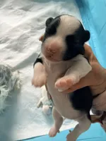 processed/fc7dbbb2-d697-4432-94a4-330ae3bcb60e/listing/217b14b6-9be4-470a-a05f-27ef56821c9c/e8e6c2e8-6eee-46a5-a1ce-86d39ca46715