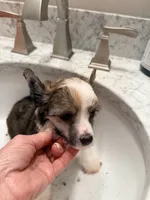 processed/fc7dbbb2-d697-4432-94a4-330ae3bcb60e/listing/217b14b6-9be4-470a-a05f-27ef56821c9c/ff749129-2578-4f04-9479-b7ca0a49ccd6