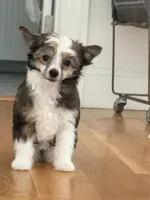 processed/fc7dbbb2-d697-4432-94a4-330ae3bcb60e/listing/ba3b0721-b48a-4e90-93b5-221385a80111/0755b8fc-6d3d-49e9-8ee5-f74838101c6d