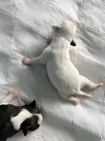 processed/fc7dbbb2-d697-4432-94a4-330ae3bcb60e/listing/ba3b0721-b48a-4e90-93b5-221385a80111/1a937ab6-e2f4-496d-a4ee-05d321954c14