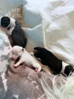 processed/fc7dbbb2-d697-4432-94a4-330ae3bcb60e/listing/ba3b0721-b48a-4e90-93b5-221385a80111/48789364-b6fe-4170-a657-e81623d7e665