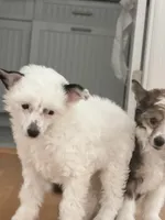 processed/fc7dbbb2-d697-4432-94a4-330ae3bcb60e/listing/ba3b0721-b48a-4e90-93b5-221385a80111/4be924a2-2917-4dbe-bc60-837ba9671973