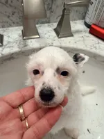 processed/fc7dbbb2-d697-4432-94a4-330ae3bcb60e/listing/ba3b0721-b48a-4e90-93b5-221385a80111/503f92ad-f2e7-4dfa-9d1a-aaed595b53b7