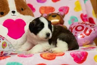 processed/fc7f1ad1-d314-4855-ba7b-a7f677dba74e/listing/0e97db54-e9e7-45b3-bb17-f6f115c67143/07c31e09-2858-4d14-b7fd-b9bce7d7512e