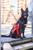 processed/fc7f1ad1-d314-4855-ba7b-a7f677dba74e/listing/132c48af-59e0-46e3-b8ce-657fd9936c66/0e9e1a02-55d7-4e55-9241-53eccc194b1d