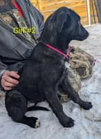 processed/fc7f1ad1-d314-4855-ba7b-a7f677dba74e/listing/132c48af-59e0-46e3-b8ce-657fd9936c66/3a2adcca-e3ac-499e-8e98-d58204fed326