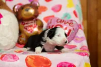 processed/fc7f1ad1-d314-4855-ba7b-a7f677dba74e/listing/33b6a166-40d1-4d66-997e-de98642ca224/63dc90b8-3980-4f1e-b8c3-10813297a081