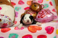 processed/fc7f1ad1-d314-4855-ba7b-a7f677dba74e/listing/33b6a166-40d1-4d66-997e-de98642ca224/68e11201-f872-4935-9a82-d0a031f8ca5b