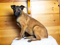 processed/fc7f1ad1-d314-4855-ba7b-a7f677dba74e/listing/3f894087-14c6-47a6-978a-55231f7737bc/071c3b78-b118-4278-960c-9b260d67937c