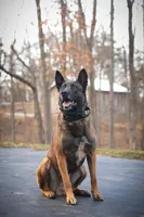 processed/fc7f1ad1-d314-4855-ba7b-a7f677dba74e/listing/3f894087-14c6-47a6-978a-55231f7737bc/132e5a94-ae37-4bb6-b785-291f16a9459c