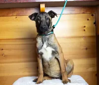 processed/fc7f1ad1-d314-4855-ba7b-a7f677dba74e/listing/3f894087-14c6-47a6-978a-55231f7737bc/455d371f-0949-42dc-a9fd-5b169aff1d42