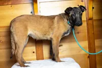 processed/fc7f1ad1-d314-4855-ba7b-a7f677dba74e/listing/3f894087-14c6-47a6-978a-55231f7737bc/b4a60a95-410b-4031-b8a1-8cc5c8990c1e