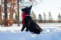 processed/fc7f1ad1-d314-4855-ba7b-a7f677dba74e/listing/42f99bd3-3a84-4e05-bdf9-80d51dac18ca/bd1449cf-e375-4947-b709-b30338c3fccf