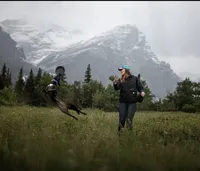 Viper, a female Belgian Malinois for sale in Plant City, FL – Photo 7 of 10