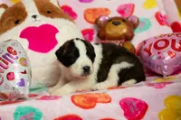 processed/fc7f1ad1-d314-4855-ba7b-a7f677dba74e/listing/760dc397-2f0c-47d7-93f9-c0ec88d2ee44/81896db6-9213-4450-ab2f-ce7fb7734e62