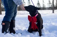 processed/fc7f1ad1-d314-4855-ba7b-a7f677dba74e/listing/b3155be4-170b-404a-a1c3-4218e93c2112/5d4b8080-d344-4369-a330-99f9e9f3f86c